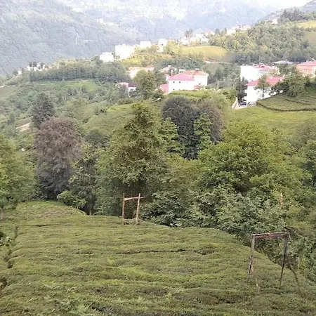 Villa Iskenaz Evi